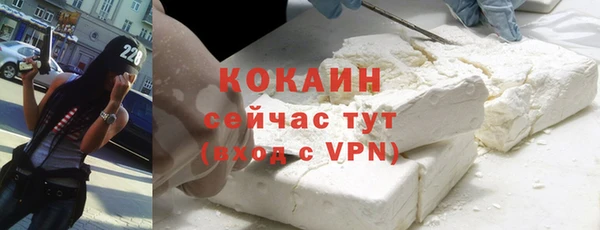 шишки Нязепетровск
