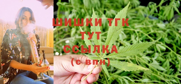 сатива Весьегонск