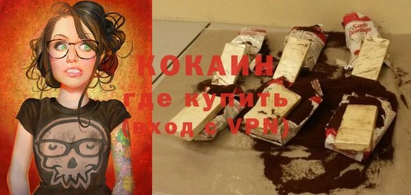 ешки Няндома