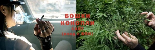 шишки Нязепетровск
