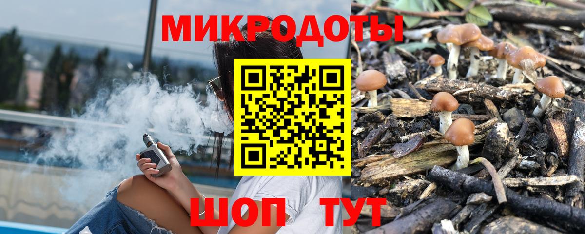 Галлюциногенные грибы Psilocybine cubensis  Вход с VPN  Псилоцибиновые грибы мухоморы  Баксан 