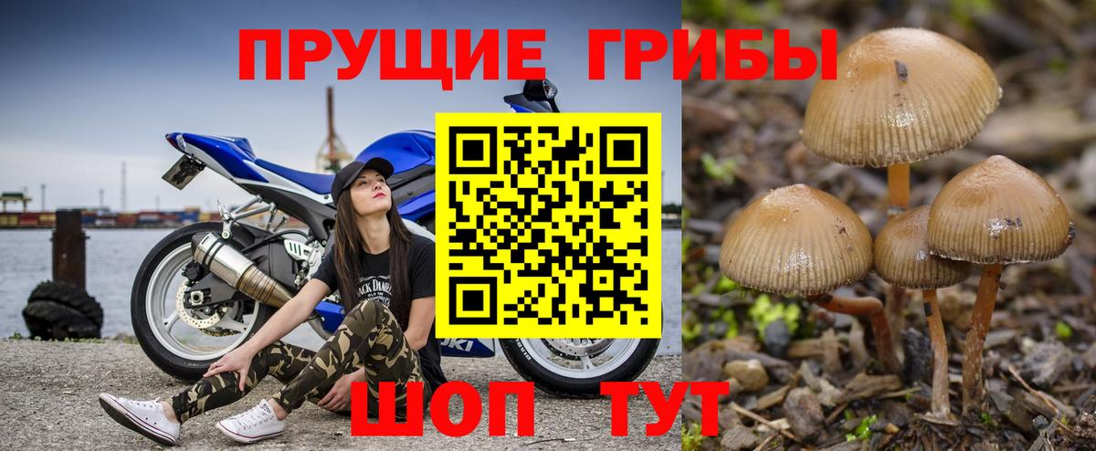 Псилоцибиновые грибы прущие грибы Баксан
