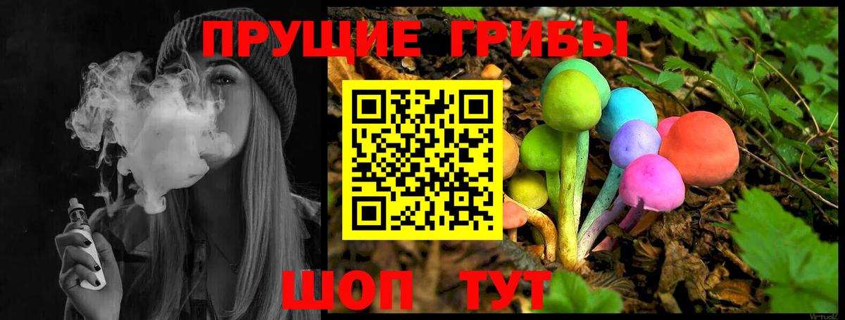 Псилоцибиновые грибы мицелий  Баксан  Галлюциногенные грибы Psilocybe 